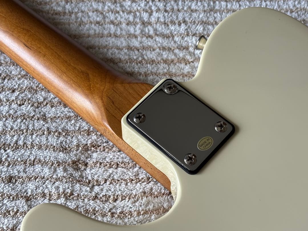 ギター Bacchus BTE-1 RSM/M OWH