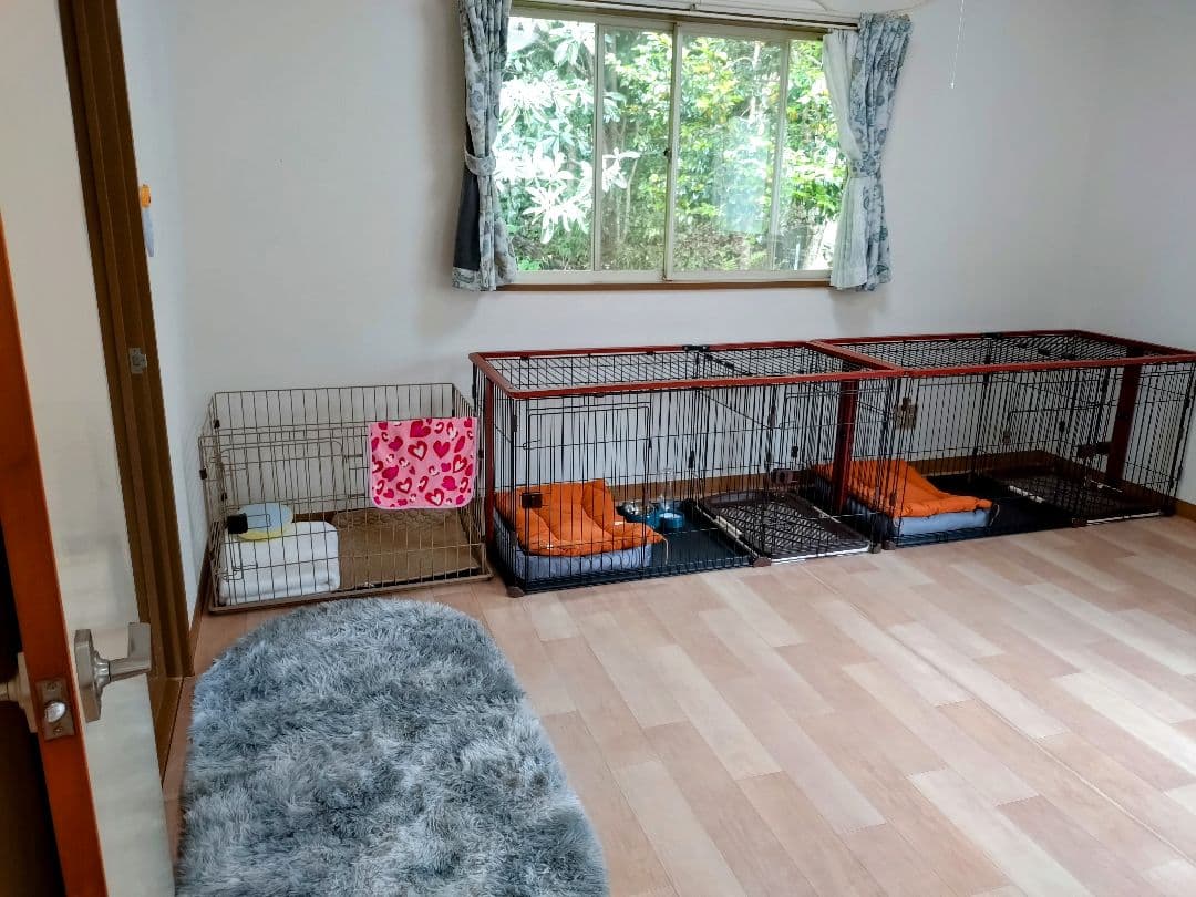 大型犬用金属製犬用ケージ