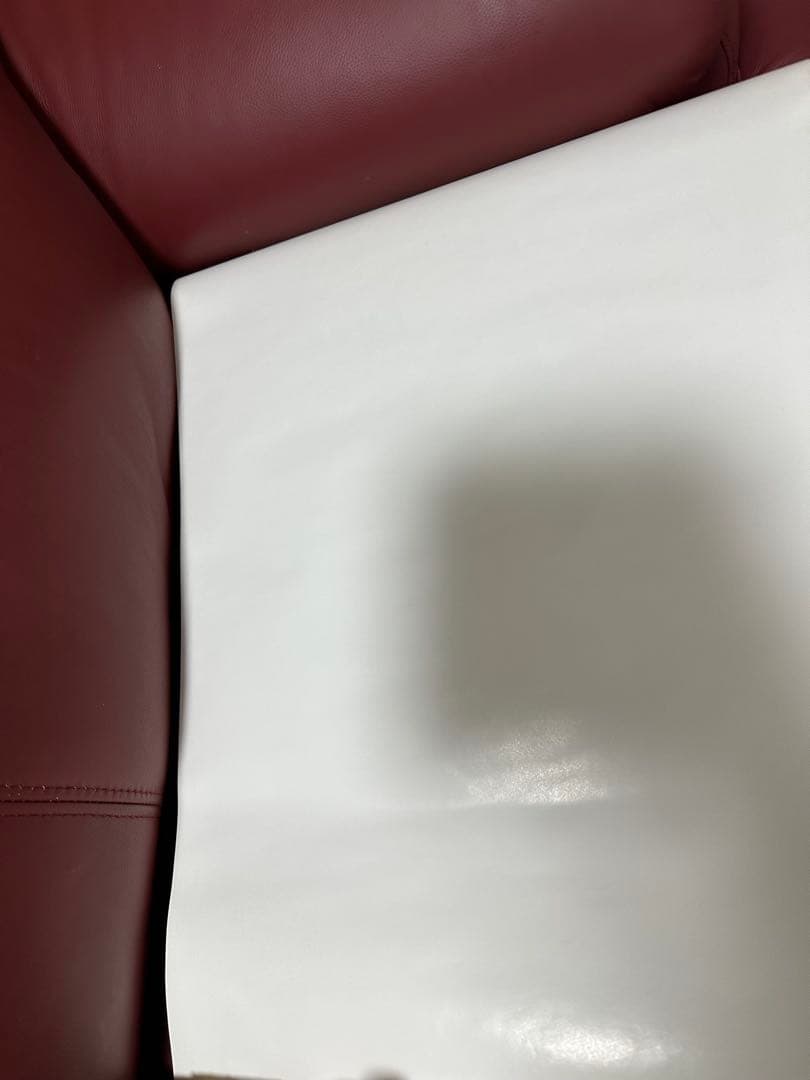 新品！バドライト　バドワイザー　マッケンジー　バド犬　ブルテリア　ポスター