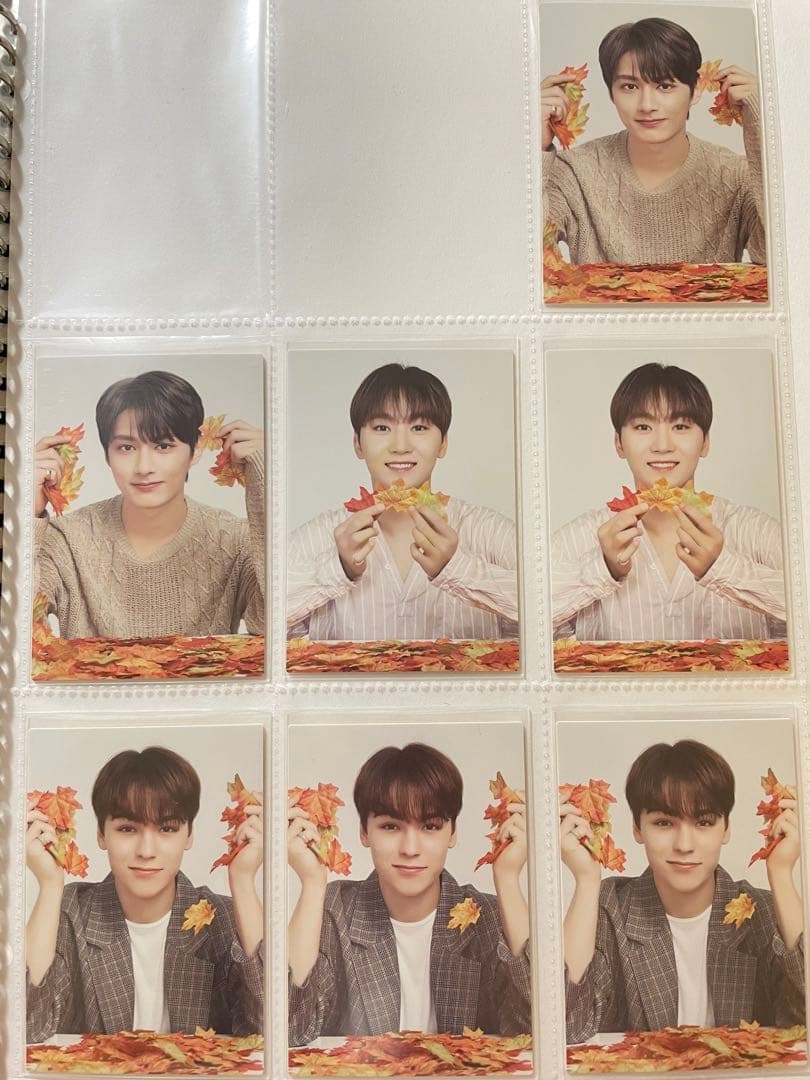 SEVENTEEN 2019 WORLD TOUR IN JAPAN 公式トレカ