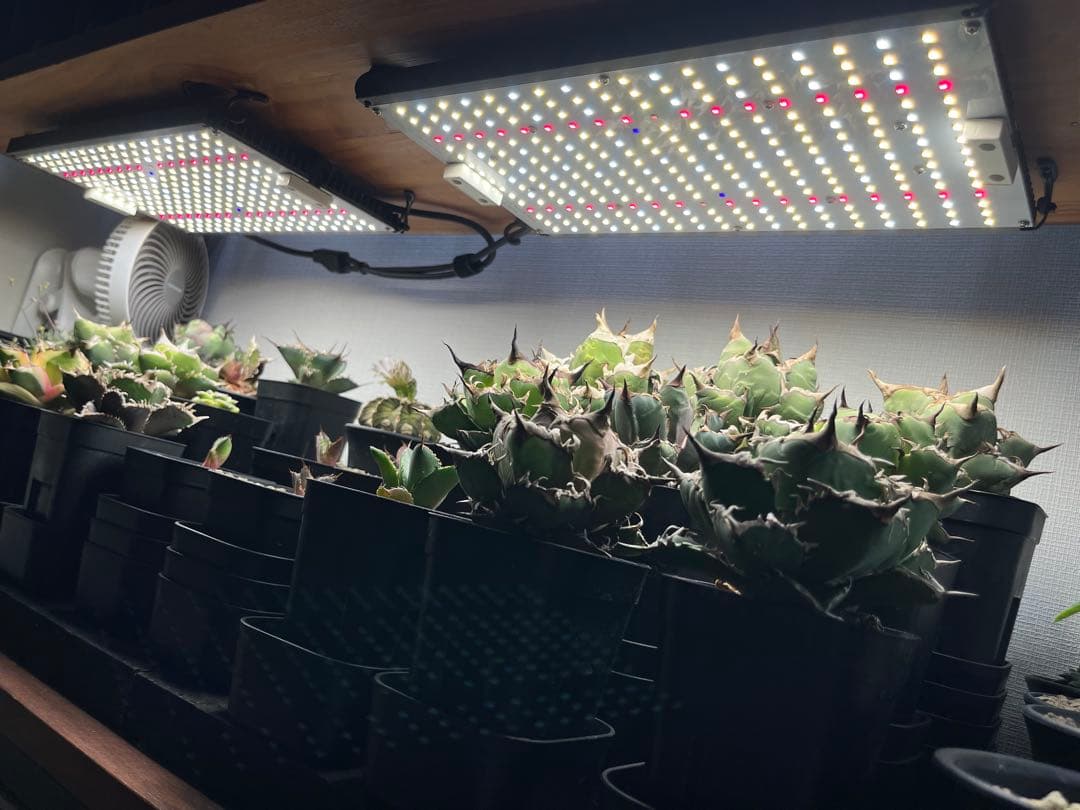 植物育成ライト　En-fun EF2000-PRO