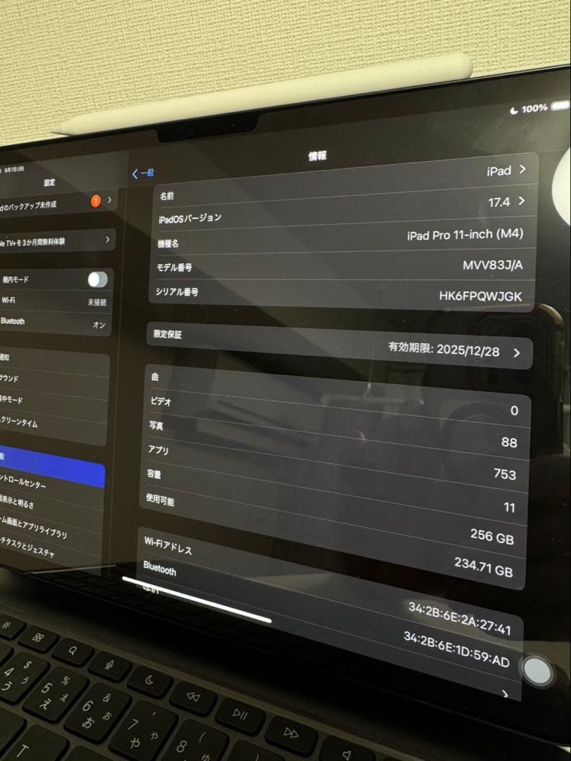 白鳥　iPad Pro M4 11インチ　256GB 本体のみ