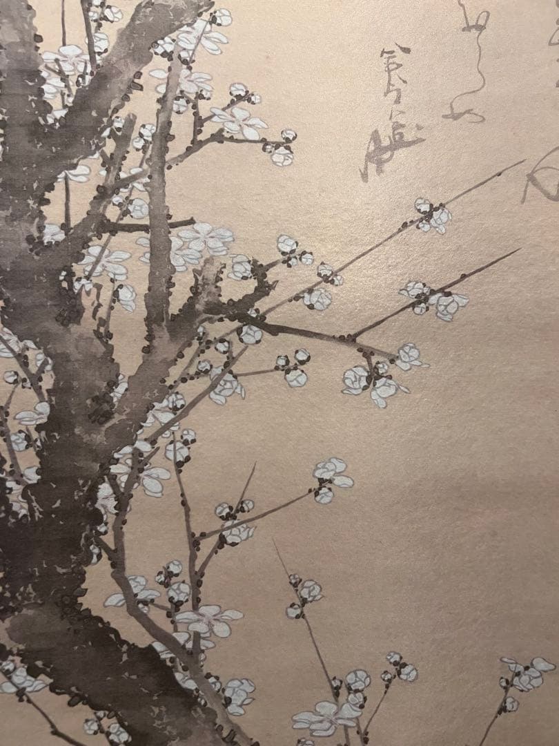 葛飾北斎『白梅図』 複製工芸 共箱 春 日本画 掛け軸 掛軸 茶掛 アート 中国