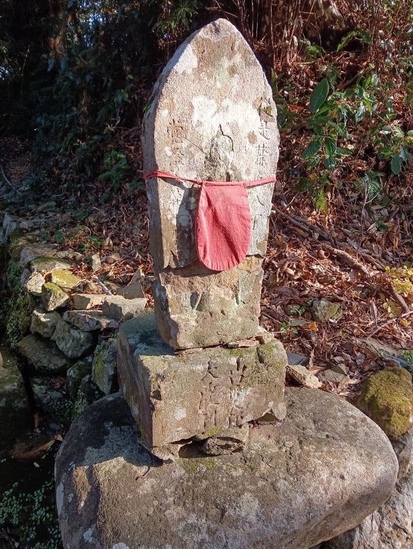 確認用稀少レア武士蟹平家怨霊リアル人面サムライガニ瀬戸内海産立体標本コレクション