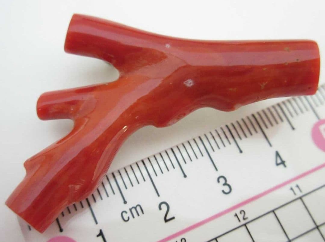 血赤珊瑚 サンゴ 9.7g ブローチ 本珊瑚 h49a