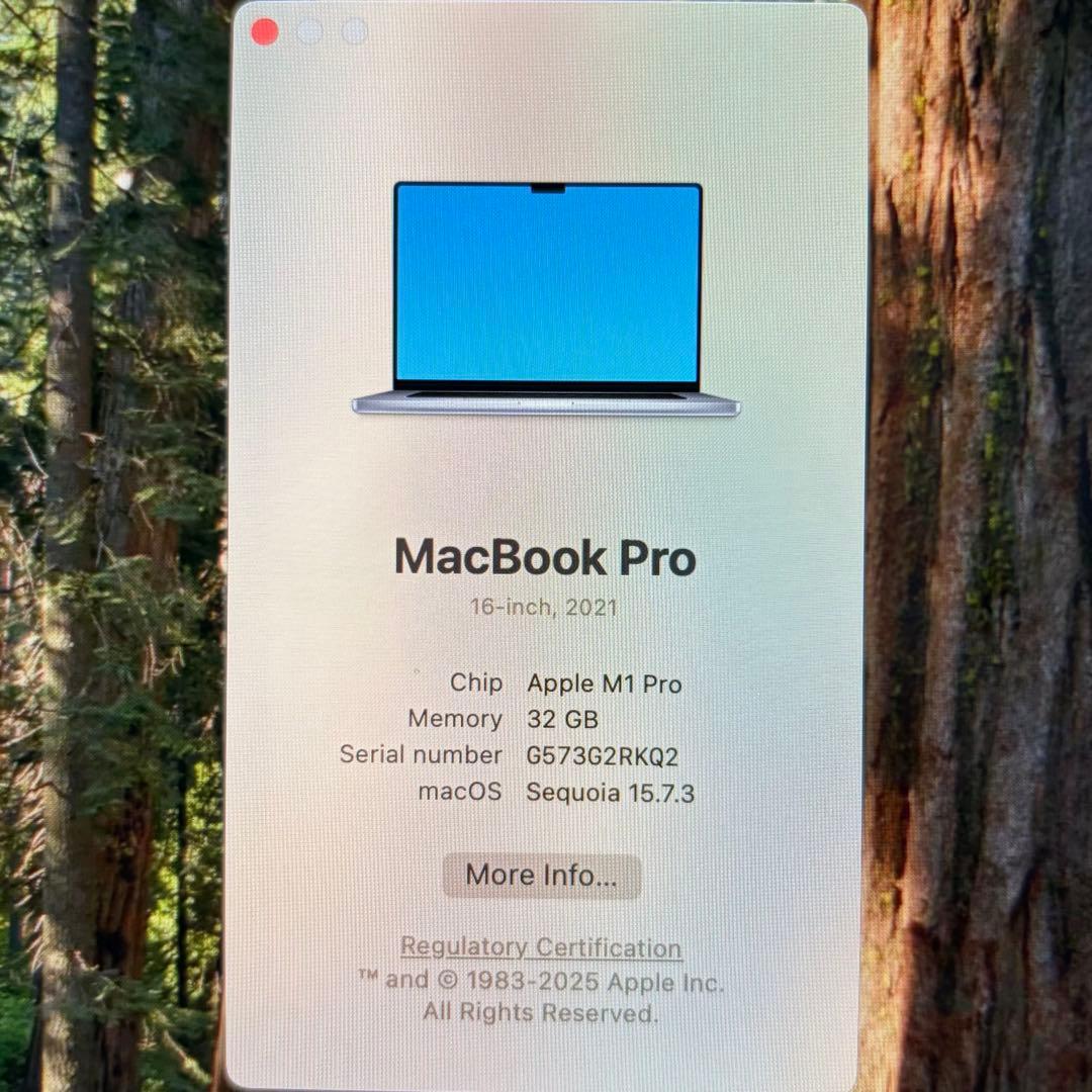 MacBook Pro 16インチ M1 Proメモリ32GB SSD512GB