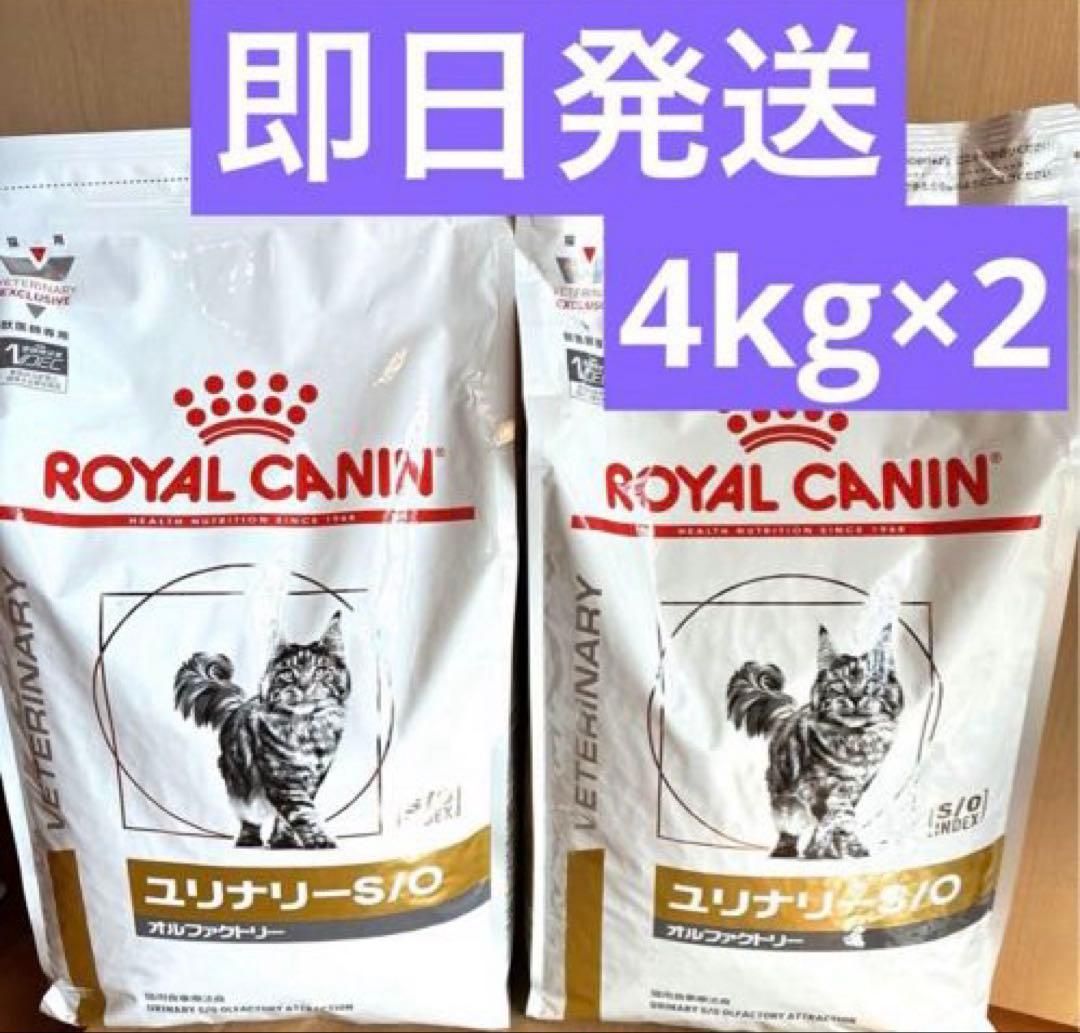 ロイヤルカナン ユリナリーS/O 猫用 オルファクトリー 4kg×2