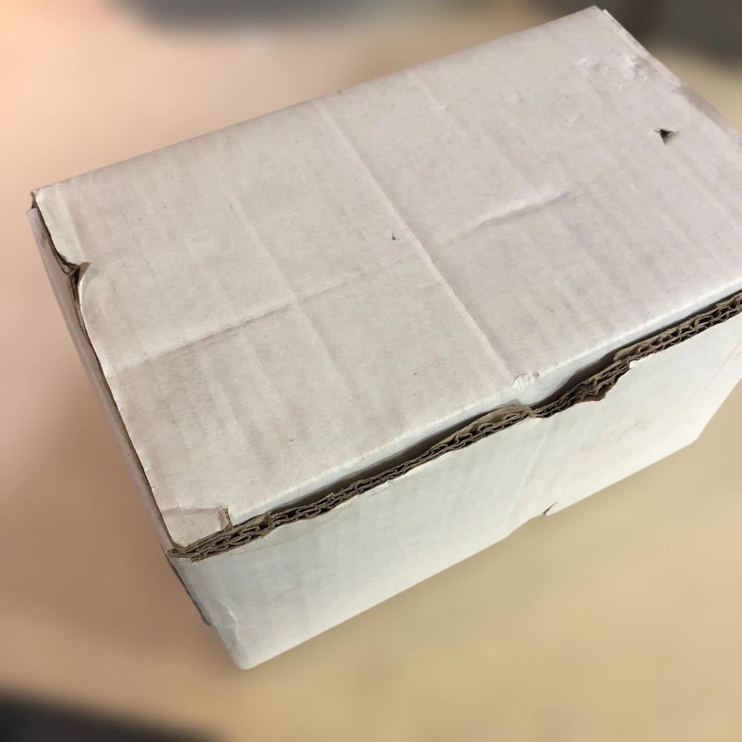 カシムラ 海外国内用変圧器 WT-4UJ (1000VA/1000W) 昇降圧