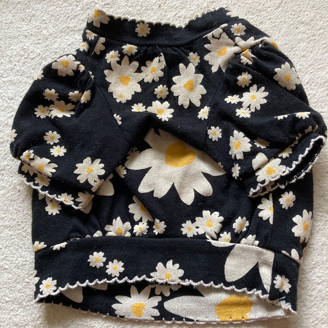 アトリエGG ペット服