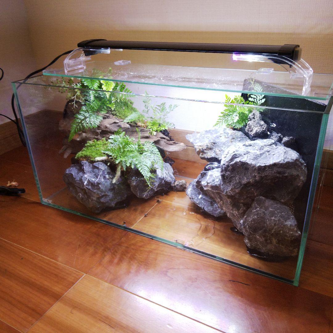 【受注生産】滝のあるアクアテラリウム　イモリウム　苔テラリウム　アクアテラリウム