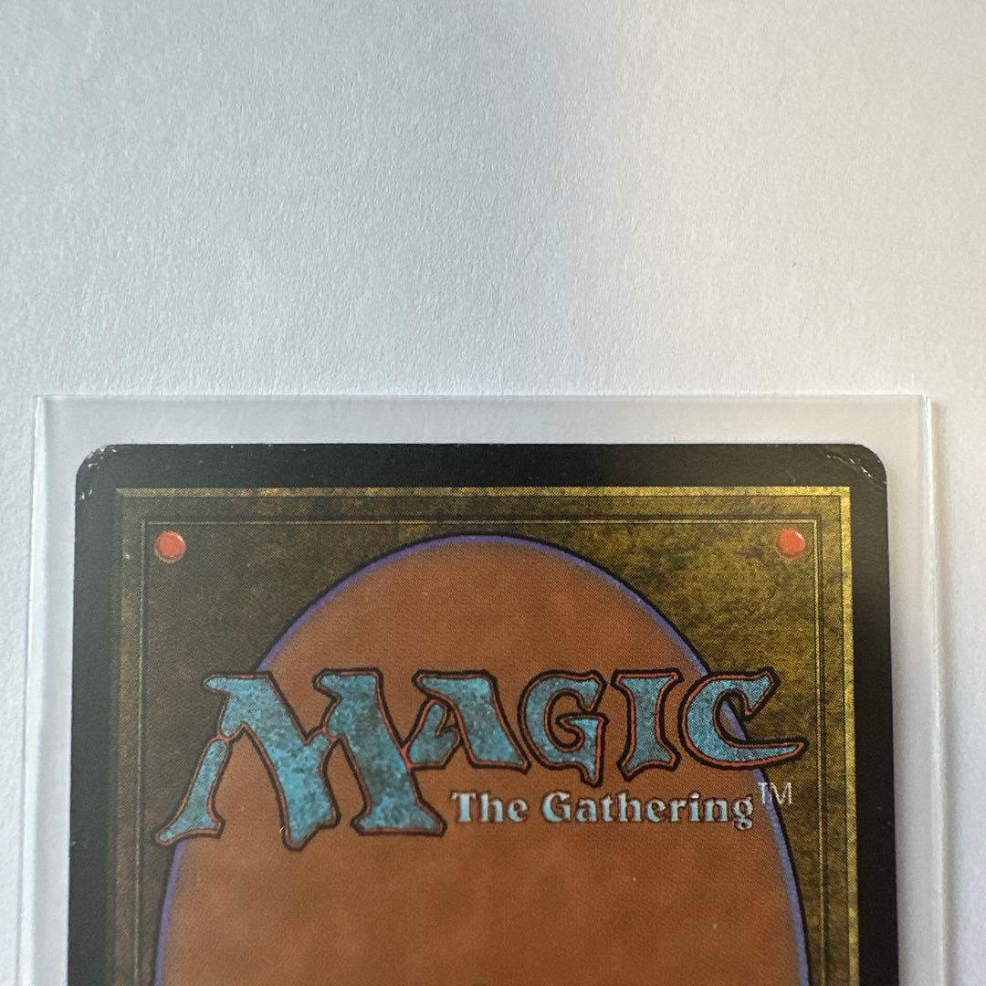 適者生存 エンチャントカード