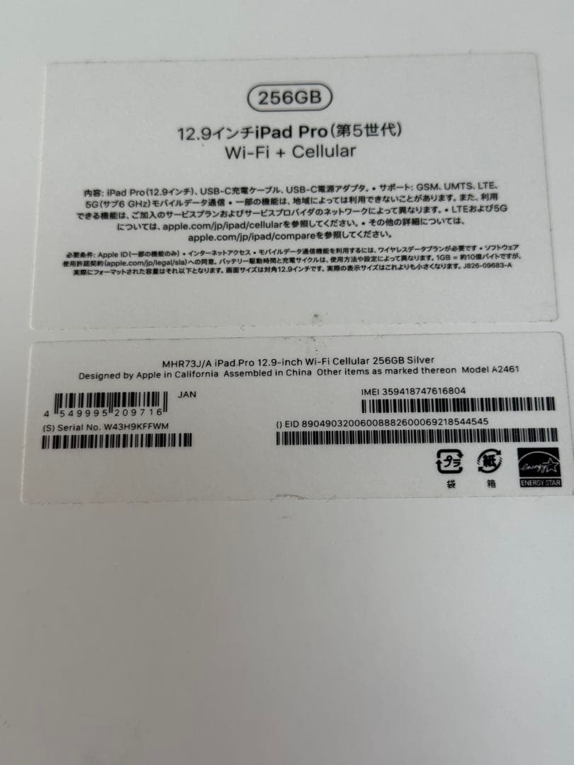 iPad Pro12.9 256G 第5世代