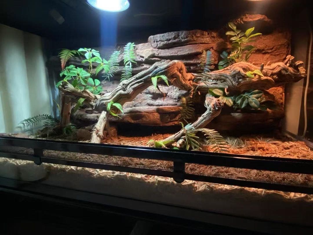 自社製組み立て式爬虫類両生類ケージガラス飼育ケージ120x60x120cm引取り