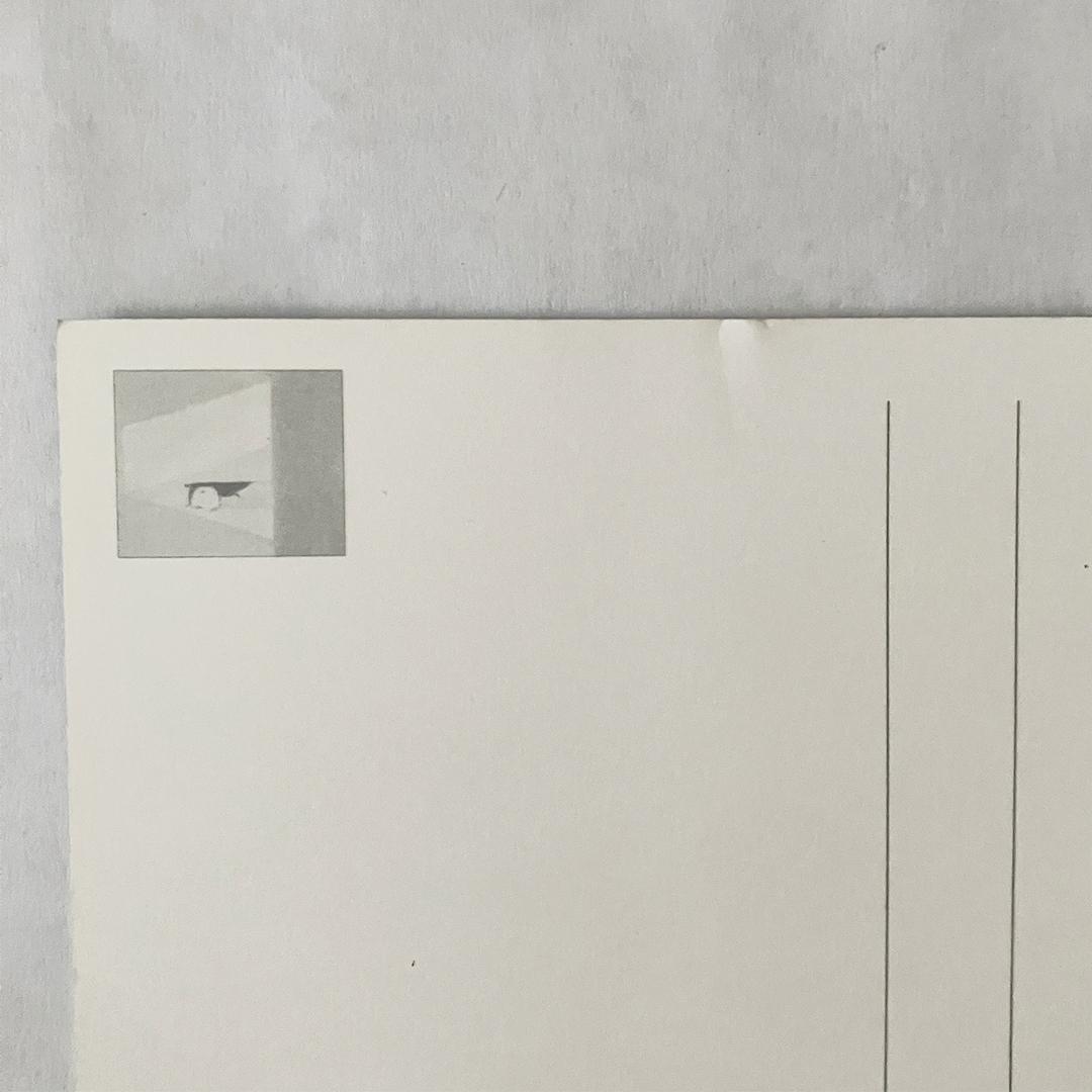 奈良美智 ポストカードセット Puddle Flowers 3冊セット