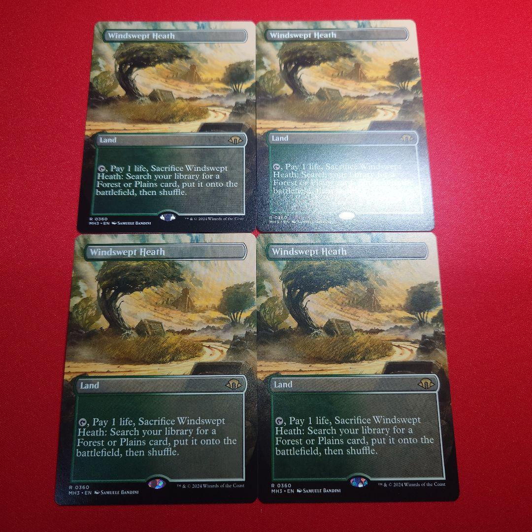 吹きさらしの荒野　ボーダーレス　英　4枚