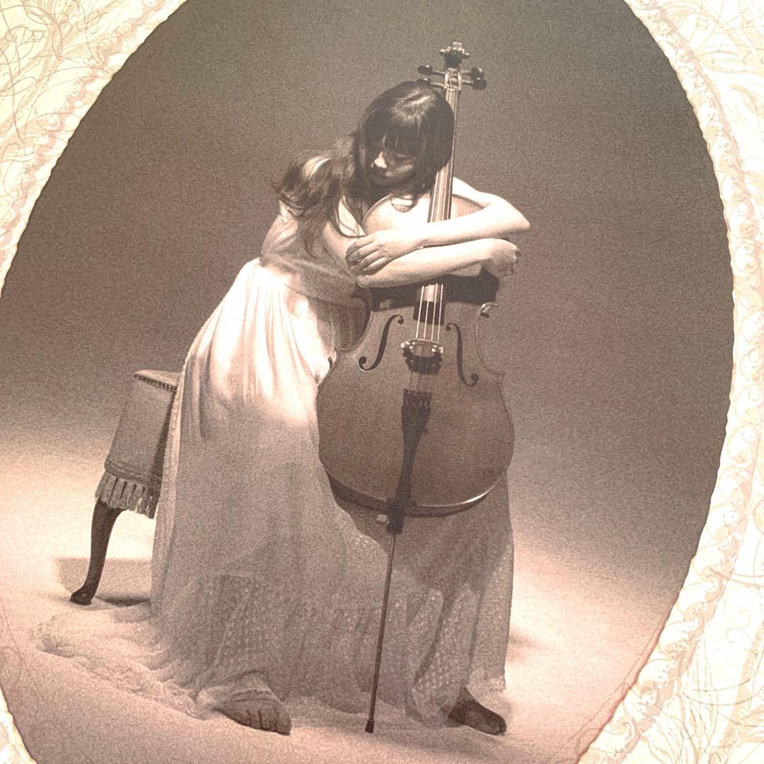 Aimer　スロヴァギア国立放送交響楽団/ ARIA STRINGS　ポスター