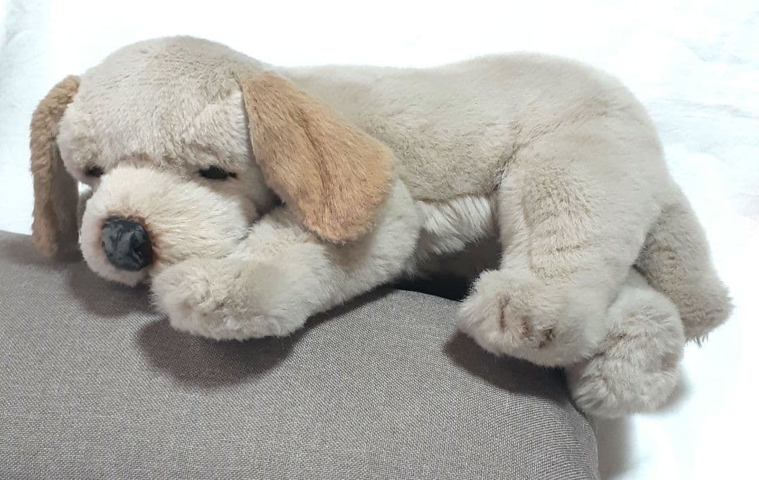 【美品】ジョックライン　JOCKLINE社　当時物　イタリア製　犬　ゴールデン