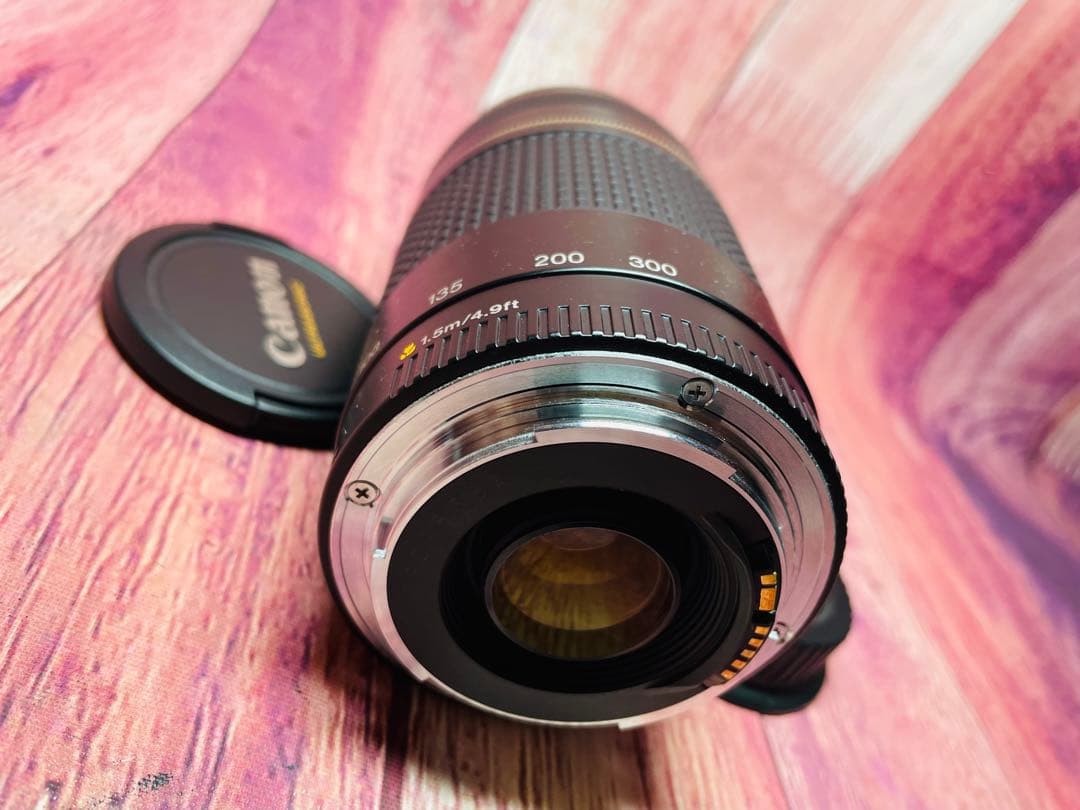 CANON キャノン EF 75-300mm 1:4-5.6 Ⅱ