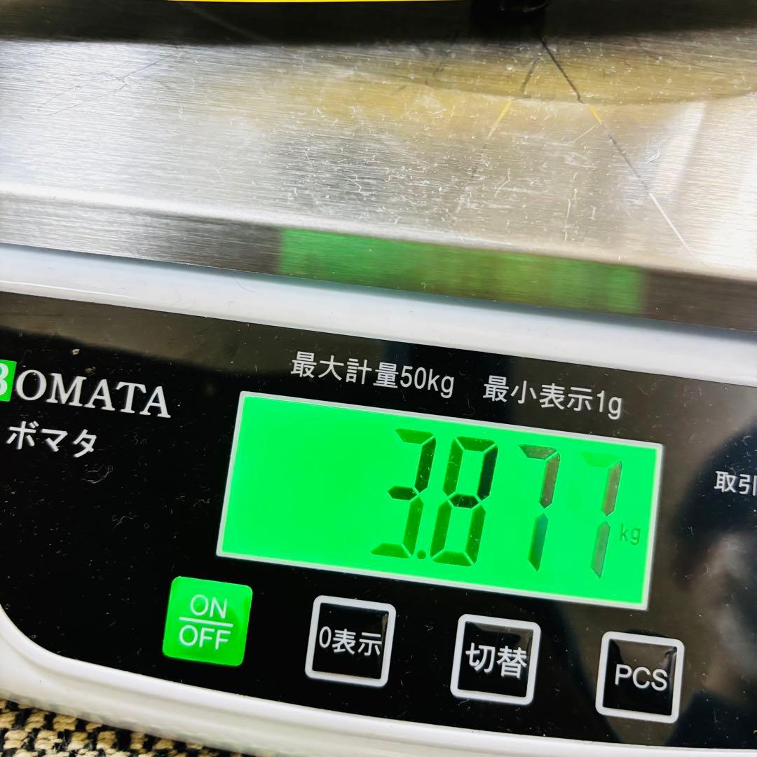 Fernandes 布袋風　LIMITED EDITION TEタイプ　レフティ