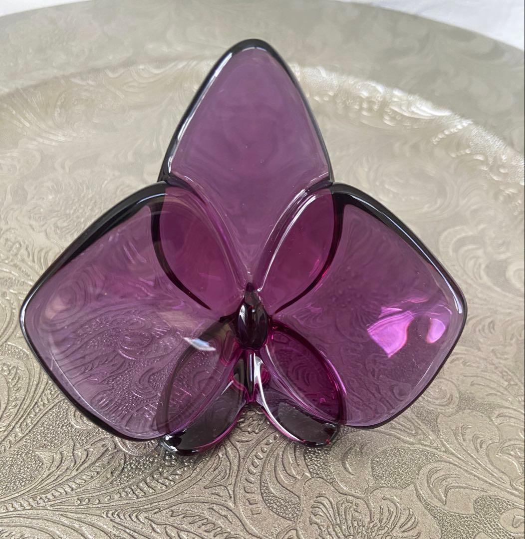 バカラ　オーキッド　パープル