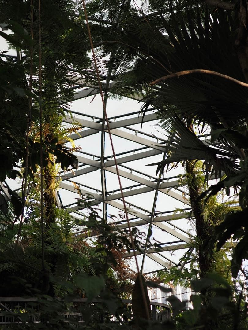 Fujifilm X-Pro3ブラック【付属品多数】