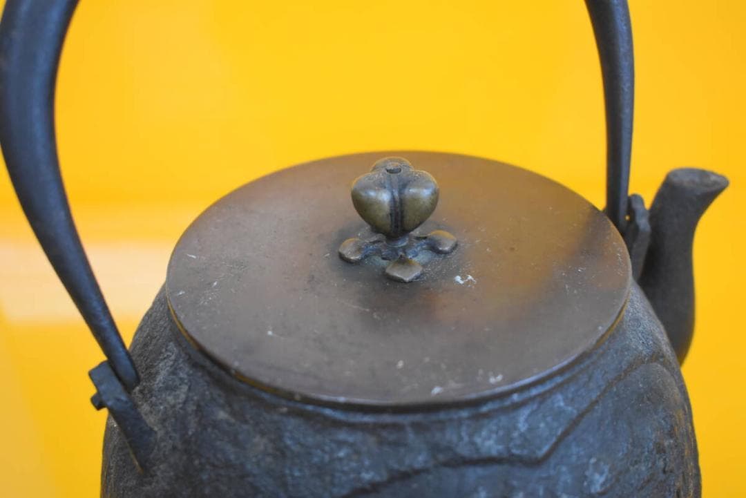 ◆金寿堂 山水楼閣紋 鉄瓶◆検）雨宮宗兵衛 雨宮宗 亀文堂 安之介 龍文堂 日本