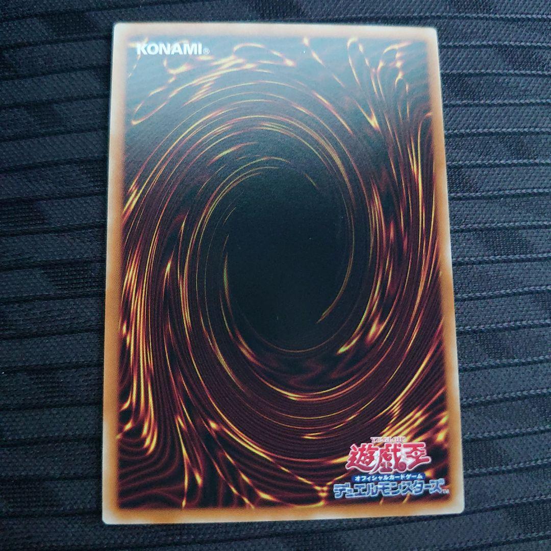 聖域を守護せし光の龍。