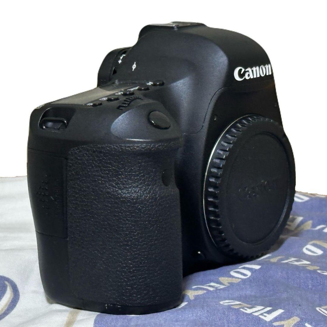 【期間限定価格】Canon EOS 6D EF ズームレンズ 2種、SDカード付