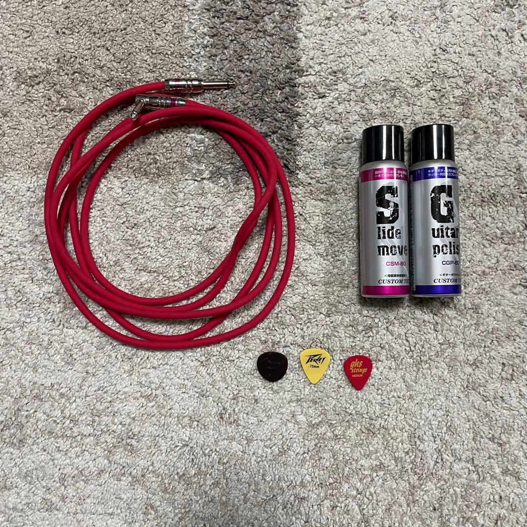 都内23区送料無料✨フェンダー✨ エレアコギター　Sonoran ケース付き