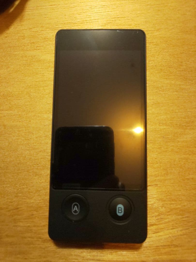 Wooask W12 翻訳機 音声翻訳機