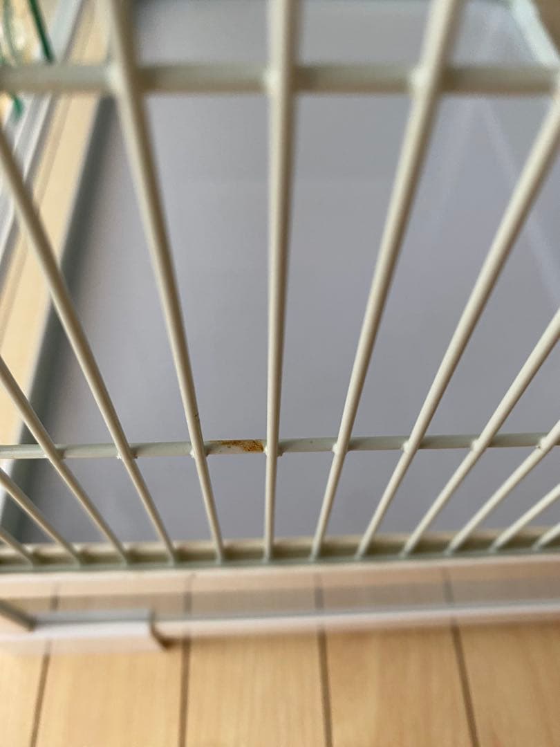 パンテオン　ホワイト　WH４５３５ REPTI WILD 爬虫類　小動物　ゲージ