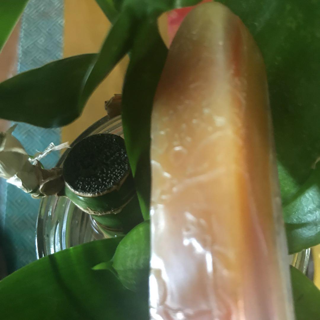 中国文房四宝　寿山石　印材