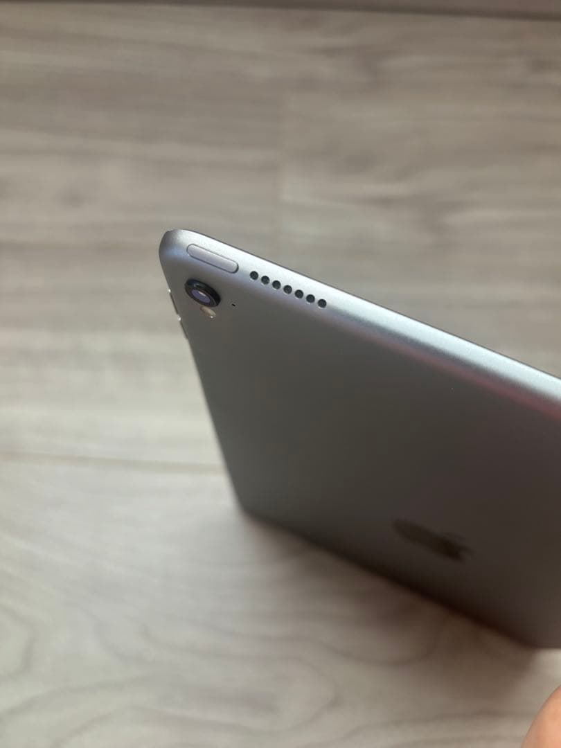 iPad Pro 9.7 （256GB、Wi-Fi、スペースグレイ）