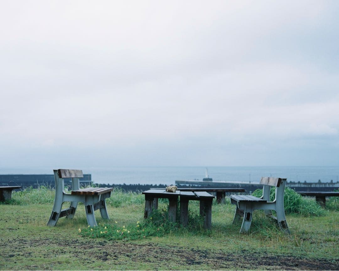 フィルムカメラ Plaubel makina67