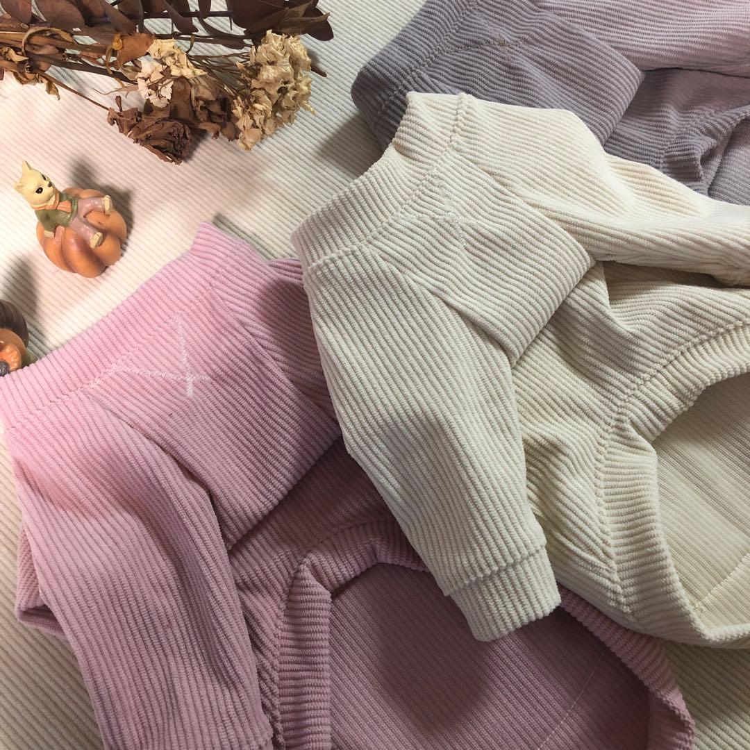 ハンドメイド　ラグランロンT　オーダー小型犬