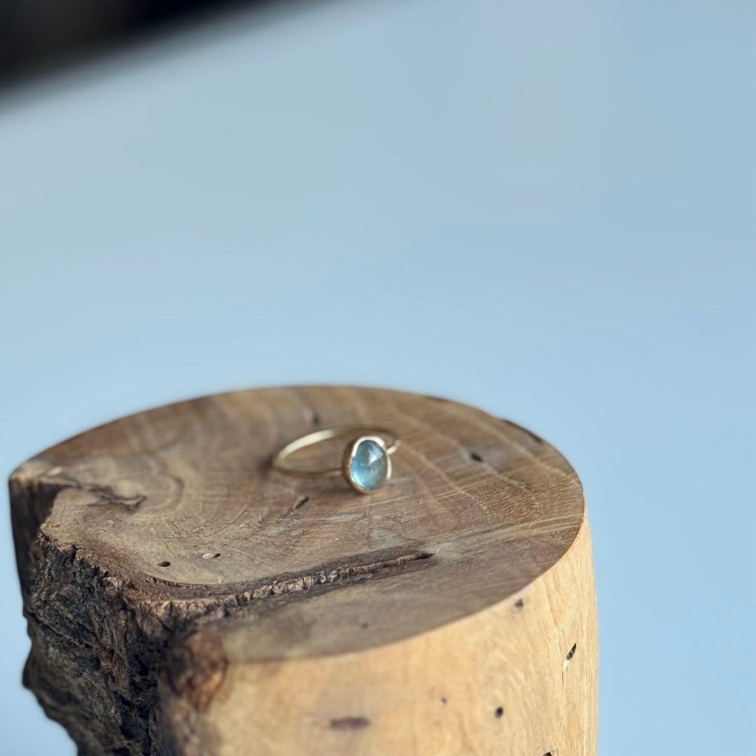 yasuhide ono 小野泰秀　リング　うつしき