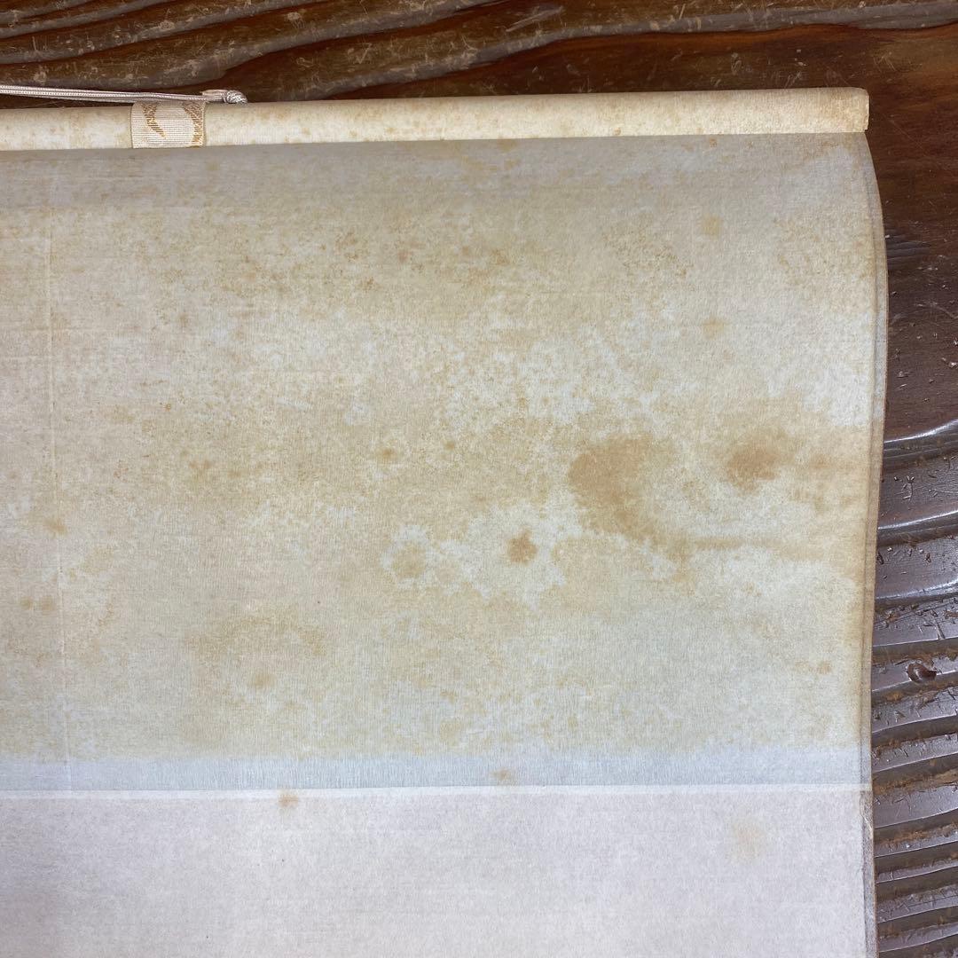 美品 掛け軸 国井柳甫作 金地 鷹に梅図 共箱 太巻き付 縁起物 厄除け