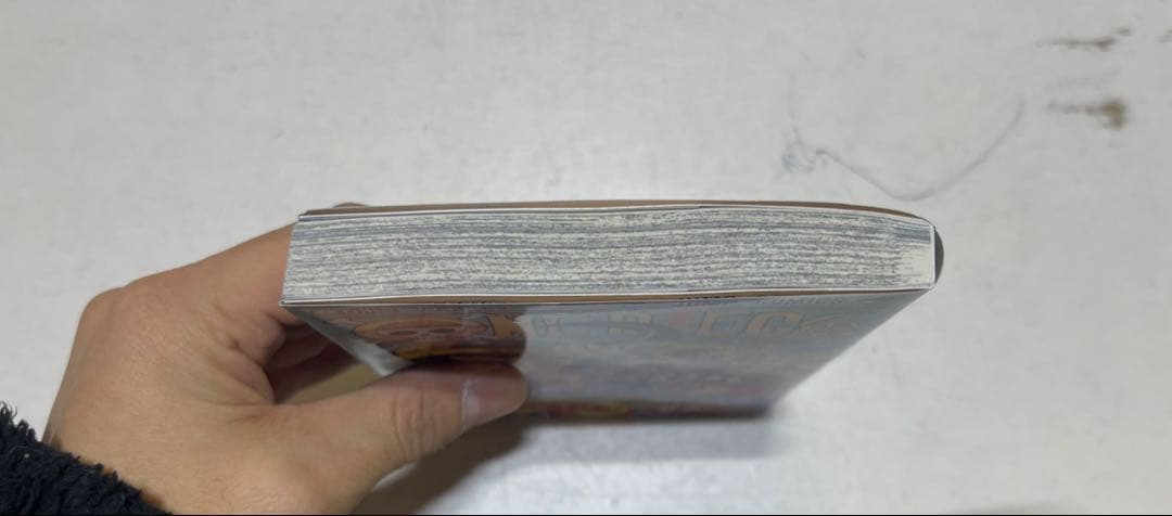 M*E様 ONE PIECEワンピースコミック１〜113巻セット＋おまけ付き！