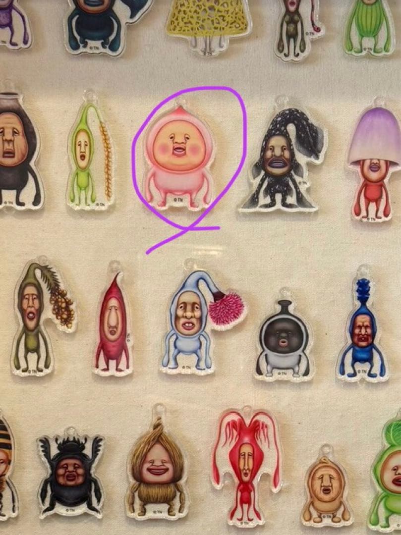 確認用　　希望　こびとづかんEXPO 限定アクリルキーホルダー