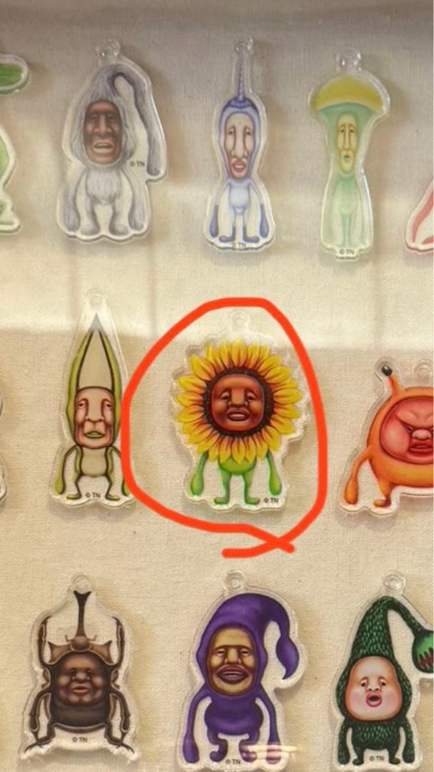 確認用　　希望　こびとづかんEXPO 限定アクリルキーホルダー