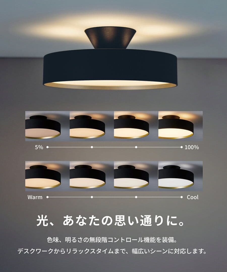 ART WORK STUDIO LED シーリングライト ブラック 8畳用