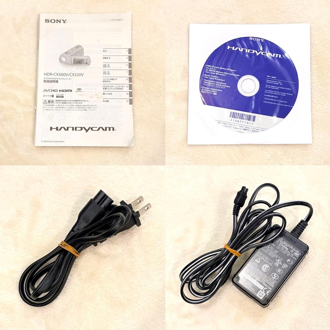【動作◎】SONY Handycam HDR-CX500V 本体 ビデオカメラ
