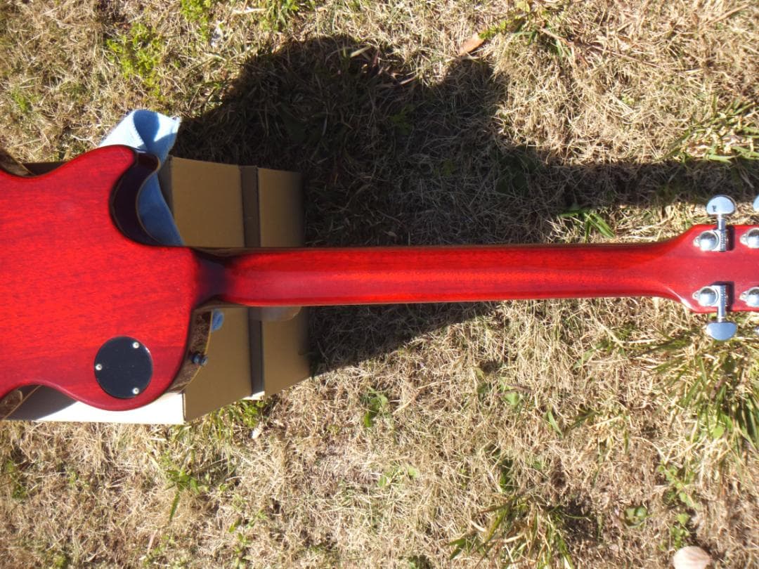 Fujigen Coolz ZLS-1 杢有りソリッドハードメイプル　アルニコ