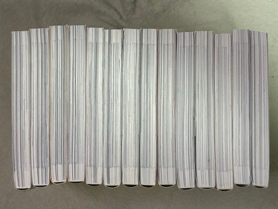 氷の城壁 全14巻セット 阿賀沢紅茶 TVアニメ化