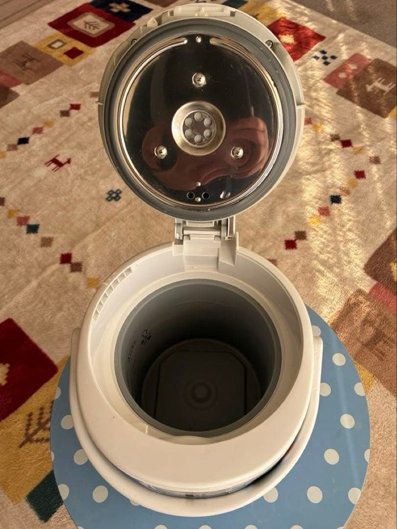 象印 スチーム式加湿器EE-RN35-WA