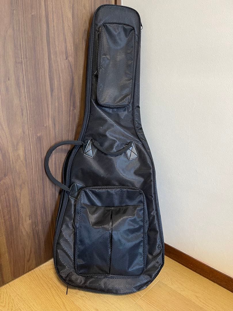 PRS(Paul Reed Smith) ポールリードスミス SE エレキギター