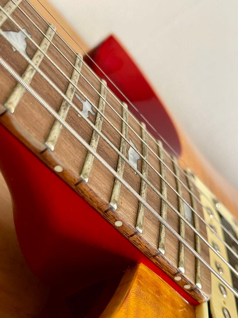 PRS(Paul Reed Smith) ポールリードスミス SE エレキギター