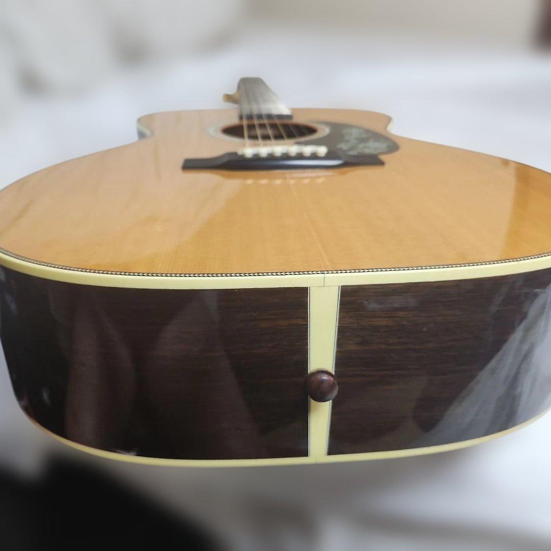 Headway HF-201 カスタム(訳アリ) 専用ケース付き