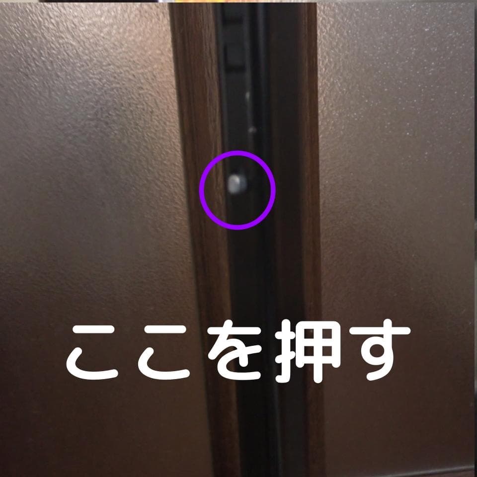 ZOCA ペットカート キャリー　千鳥格子　キャリー