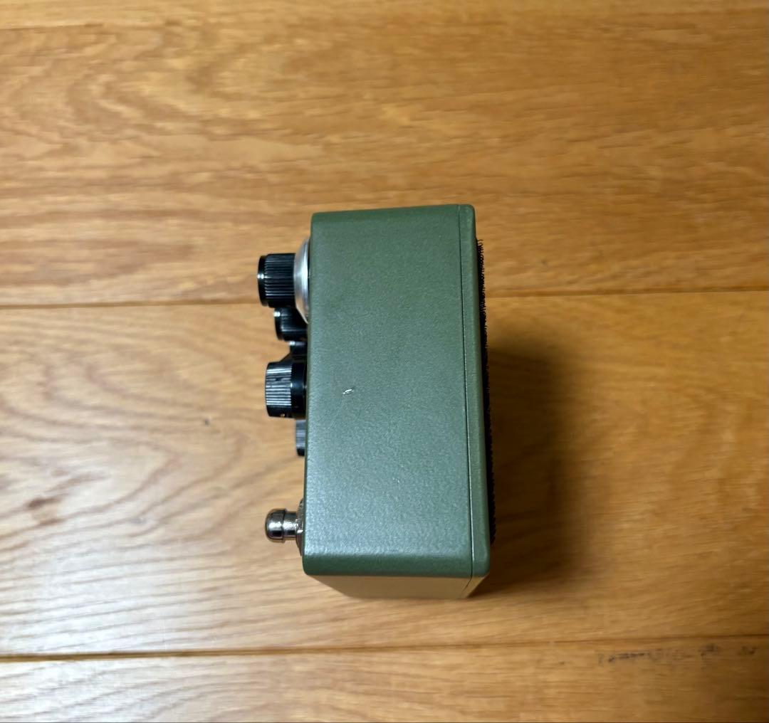 ギター Browne amplification PROTEIN V3